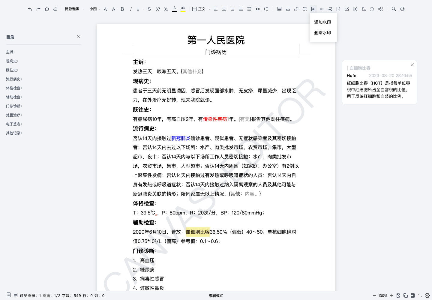 水印管理与文档保护真实中文运行截图